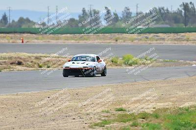 media/May-05-2024-Lucky Dog Racing (Sun) [[8a365fce5b]]/11am-Turn 9 and Main Straight/